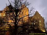 img_5564.jpg